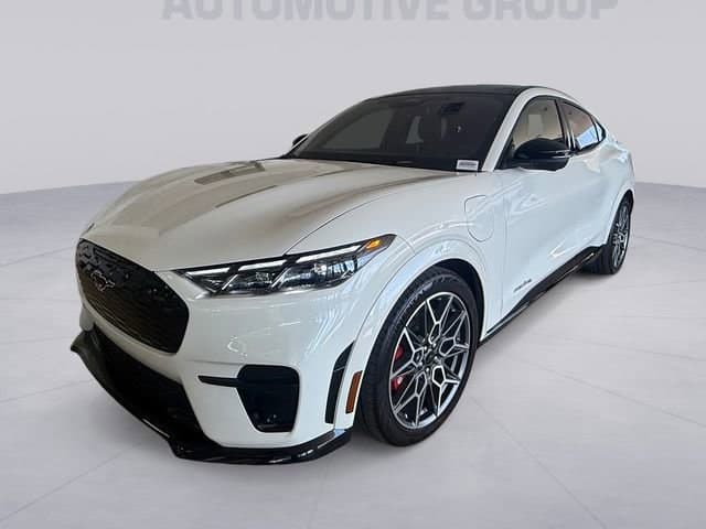 2025 Ford Mustang Mach-E GT SUV 3FMTK4SXXSMA05209